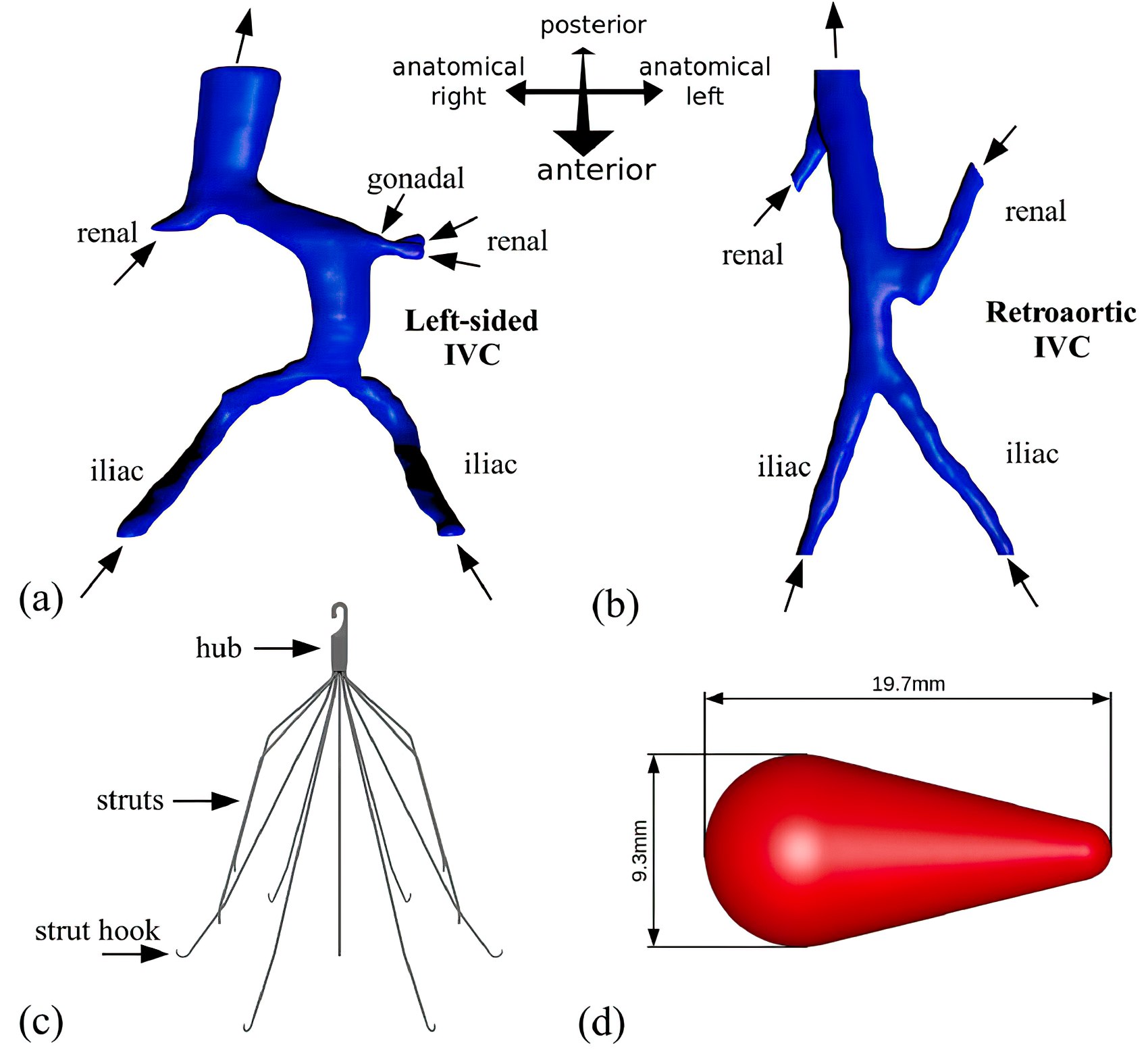 Computational Medicine & Image Processing Laboratory 