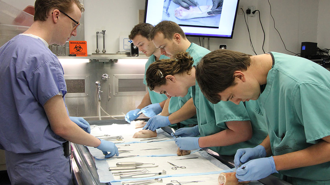 Dissection lab with porcine specimens
