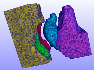 Finite Element model of mouse embryo upper jaw with unelevated palatal shelves, tongue and lower jaw.