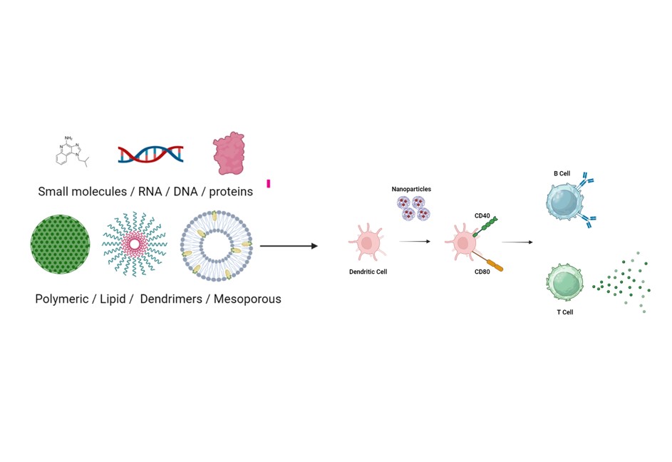 Drug Delivery and Immunoengineering Lab
